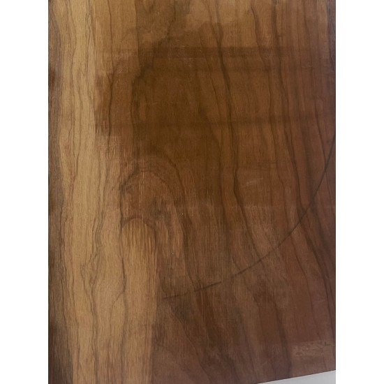 Olive Torrefied | Guitar Back