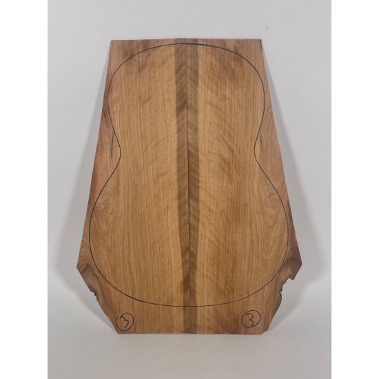 Olive Torrefied | Guitar Back