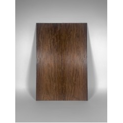 Palisander Santos | Guitar Back