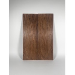Palisander Santos | Guitar Back