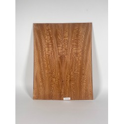 Plane tree | Guitar Back