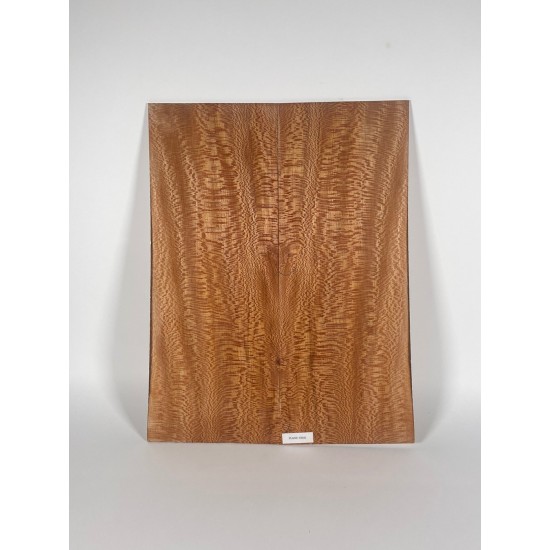 Plane tree | Guitar Back