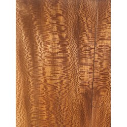 Plane tree | Guitar Back