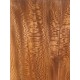 Plane tree | Guitar Back