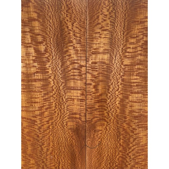 Plane tree | Guitar Back