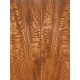 Plane tree | Guitar Back