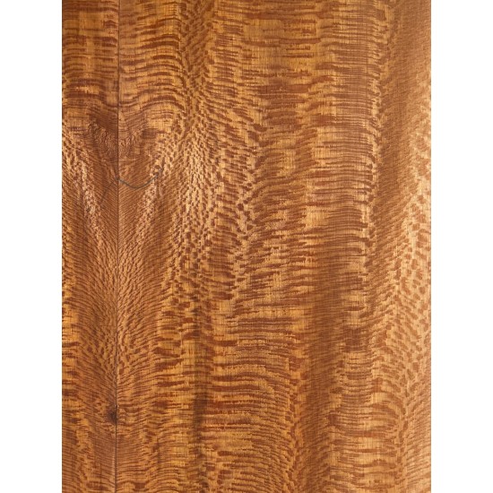 Plane tree | Guitar Back