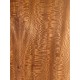 Plane tree | Guitar Back