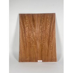 Plane tree | Guitar Back