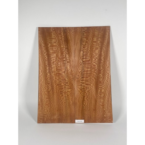 Plane tree | Guitar Back