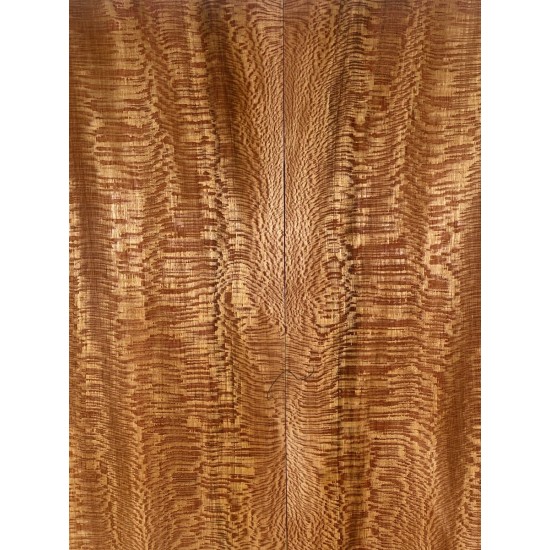 Plane tree | Guitar Back