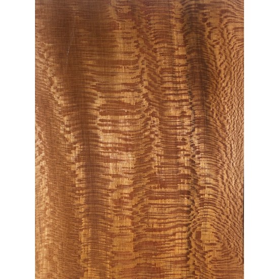 Plane tree | Guitar Back