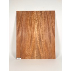Plane tree | Guitar Back