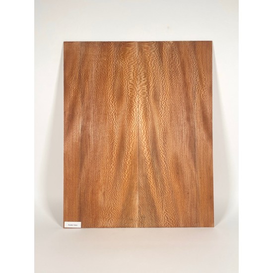 Plane tree | Guitar Back