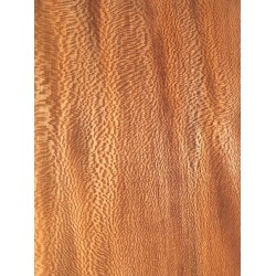 Plane tree | Guitar Back