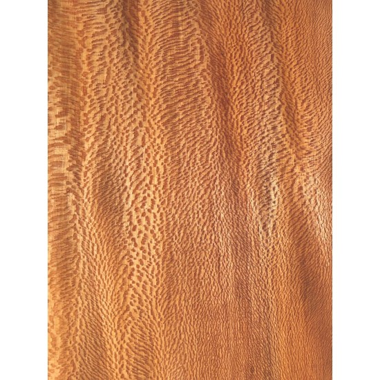 Plane tree | Guitar Back