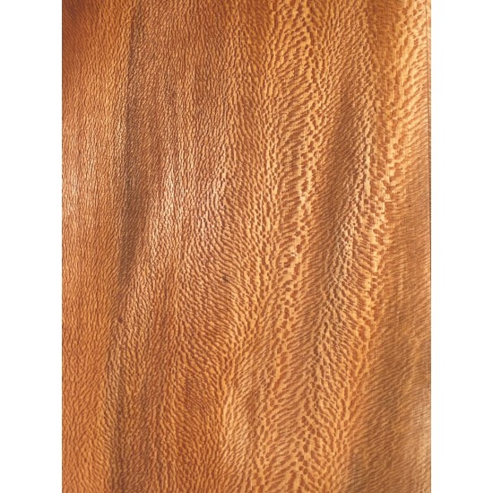 Plane tree | Guitar Back