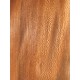 Plane tree | Guitar Back