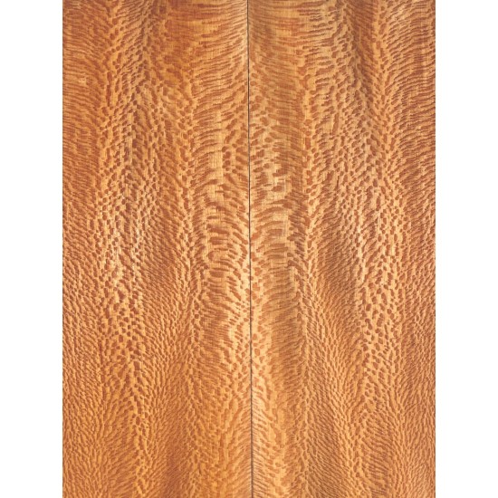 Plane tree | Guitar Back