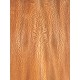 Plane tree | Guitar Back