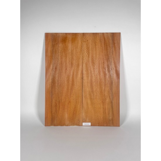 Plane tree | Guitar Back