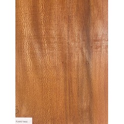 Plane tree | Guitar Back