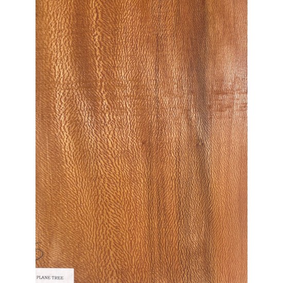 Plane tree | Guitar Back
