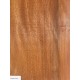 Plane tree | Guitar Back
