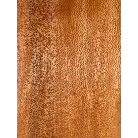 Plane tree | Guitar Back