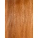 Plane tree | Guitar Back