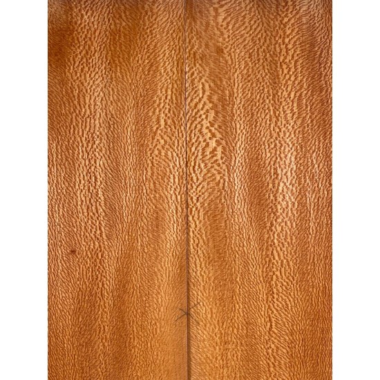 Plane tree | Guitar Back