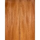 Plane tree | Guitar Back