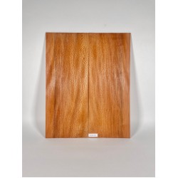 Plane tree | Guitar Back