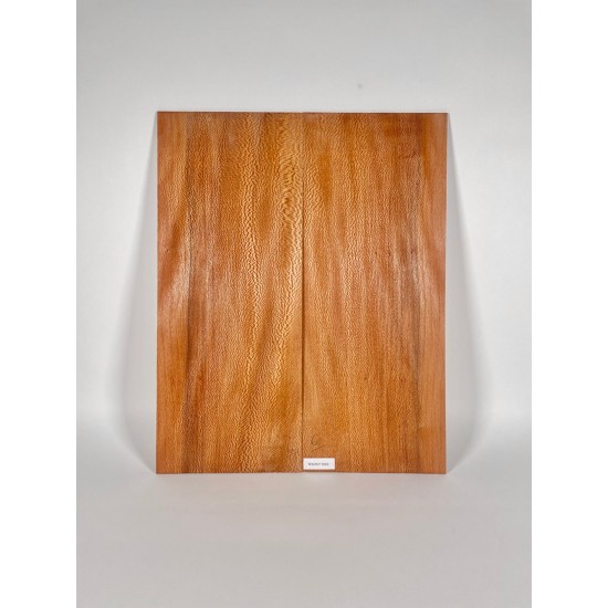 Plane tree | Guitar Back