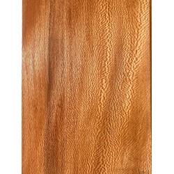 Plane tree | Guitar Back