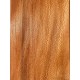 Plane tree | Guitar Back