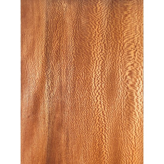 Plane tree | Guitar Back