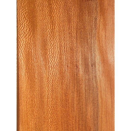 Plane tree | Guitar Back