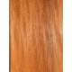 Plane tree | Guitar Back