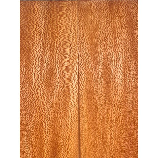 Plane tree | Guitar Back