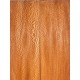 Plane tree | Guitar Back