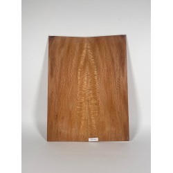Plane tree | Guitar Back