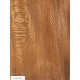 Plane tree | Guitar Back