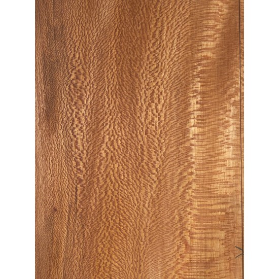 Plane tree | Guitar Back