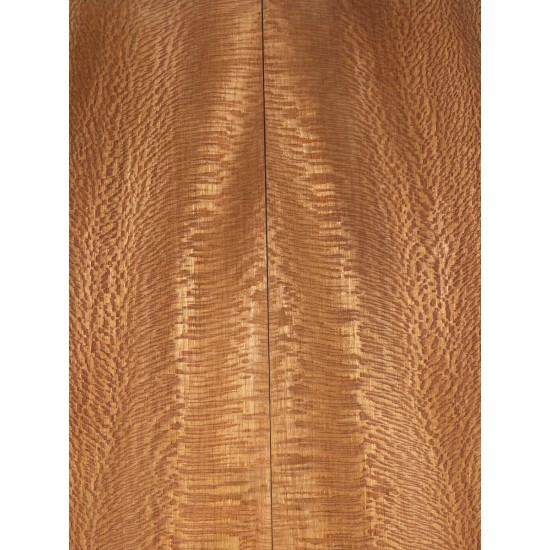 Plane tree | Guitar Back