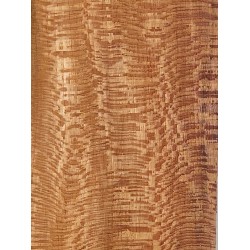 Plane tree | Guitar Sides