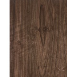 Figured Walnut | Guitar Back