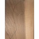 Figured Walnut | Guitar Back