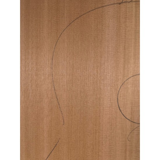 Red Cedar | Guitar Top