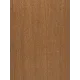 Linden tree Torrefied | Headstocks for Bouzouki